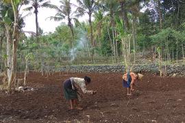 PETANI MULAI KEPYOH